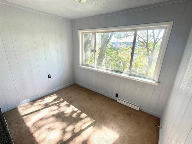 carpeted spare room with wooden walls, a baseboard heating unit, and a wealth of natural light