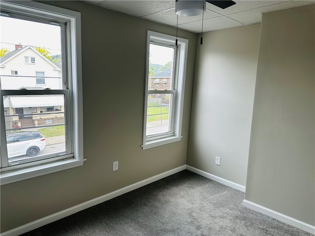 spare room featuring a drop ceiling, carpet flooring, plenty of natural light, and ceiling fan