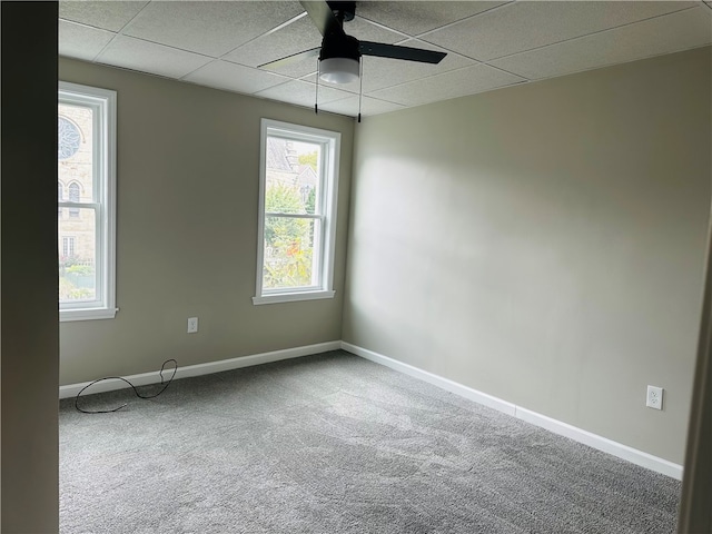 spare room with carpet flooring, ceiling fan, and a drop ceiling