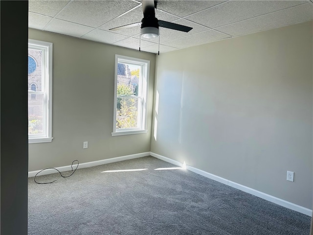 empty room with ceiling fan, carpet flooring, and a drop ceiling