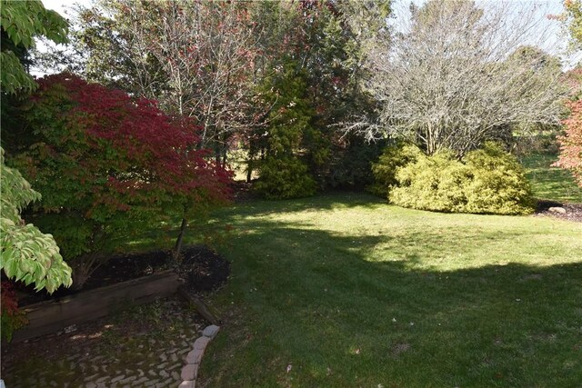 1158 Mansfield Ave, White Twp, PA 15701 - photo 7