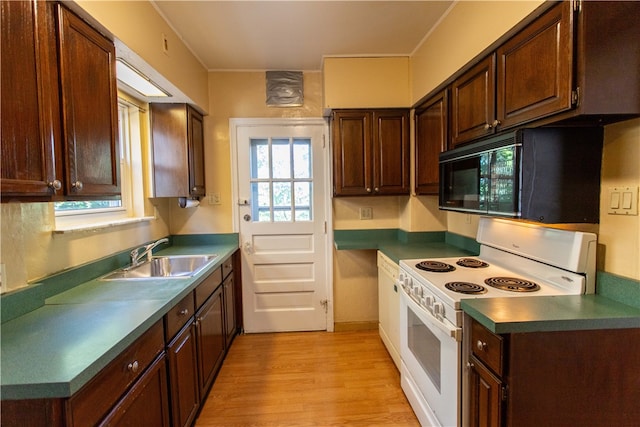 kitchen featuring white range with electric stovetop, dark brown cabinets, sink, and light hardwood / wood-style floors