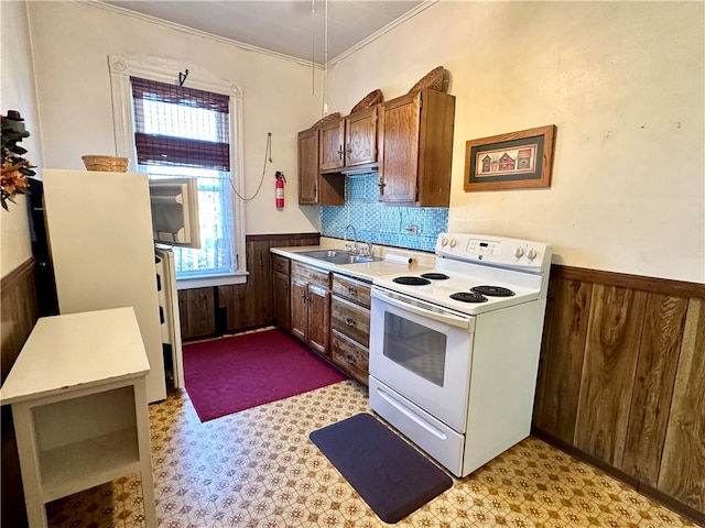 kitchen featuring white range with electric stovetop, sink, ornamental molding, and backsplash