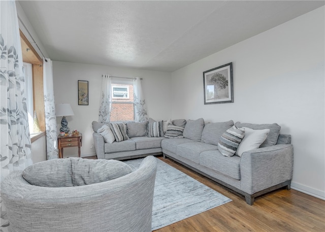 living room with wood-type flooring