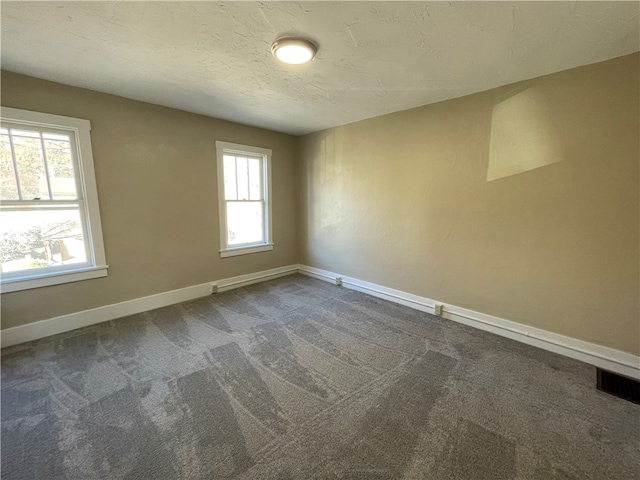 spare room featuring carpet floors, plenty of natural light, and a textured ceiling