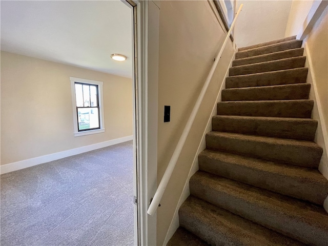 stairway with carpet floors