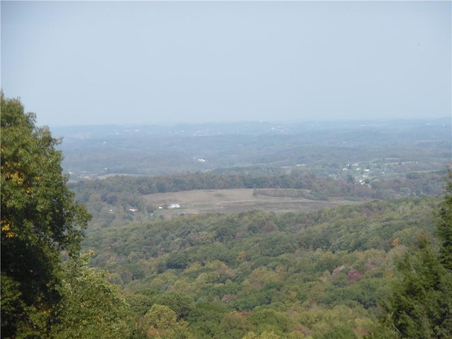 view of mountain feature with a view of trees