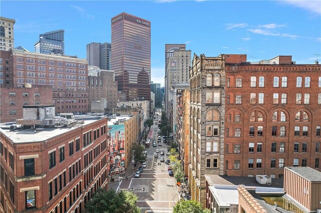 915 Liberty Ave Unit 5, Downtown Pgh, PA 15222 - city view