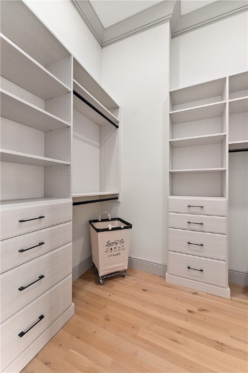 walk in closet with light hardwood / wood-style floors