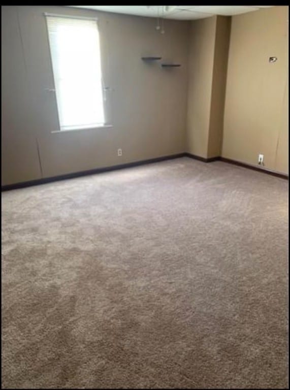 spare room with carpet