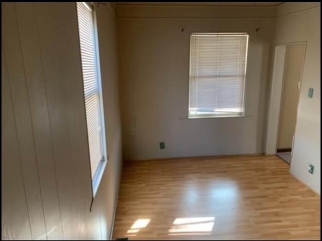 empty room featuring light wood-type flooring and a healthy amount of sunlight