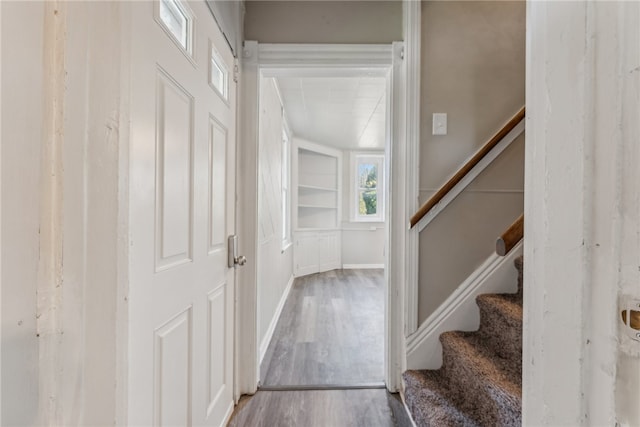 stairway featuring wood-type flooring