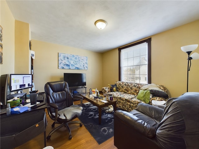 living room featuring wood-type flooring