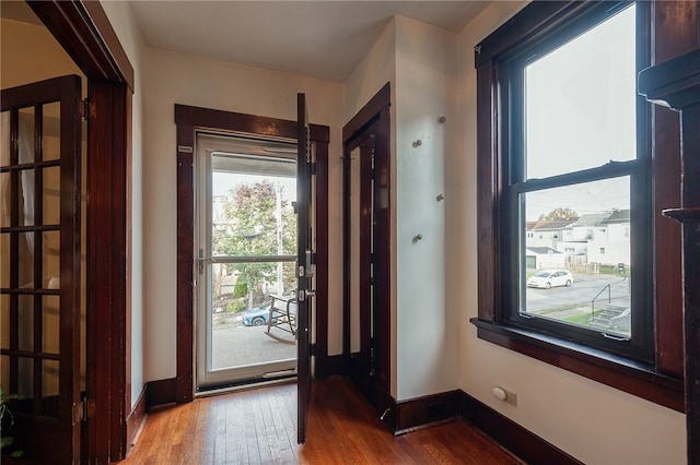 entryway with wood-type flooring