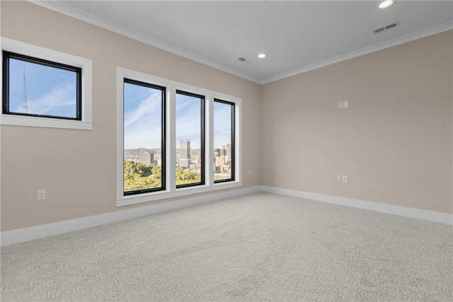 spare room with crown molding and carpet