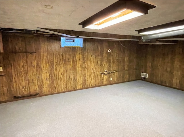 basement with wooden walls