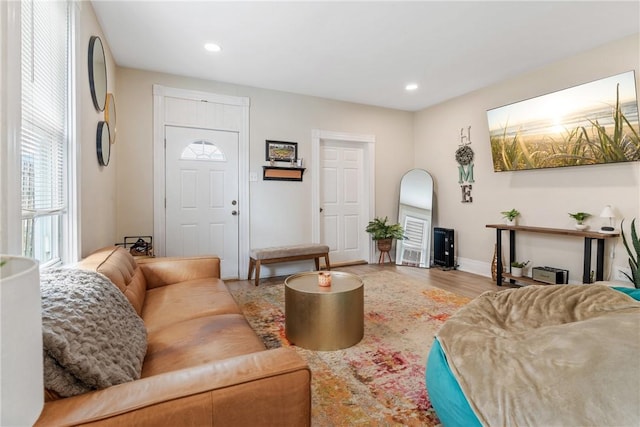 living room with wood-type flooring