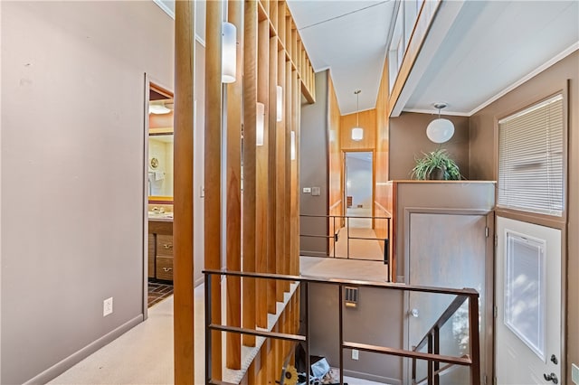 interior space with ornamental molding and carpet floors