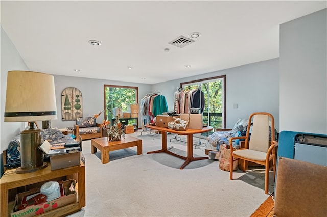 living room featuring carpet