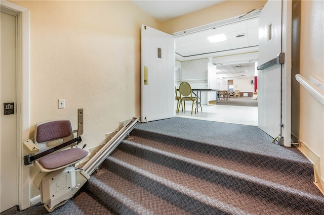 staircase featuring carpet floors