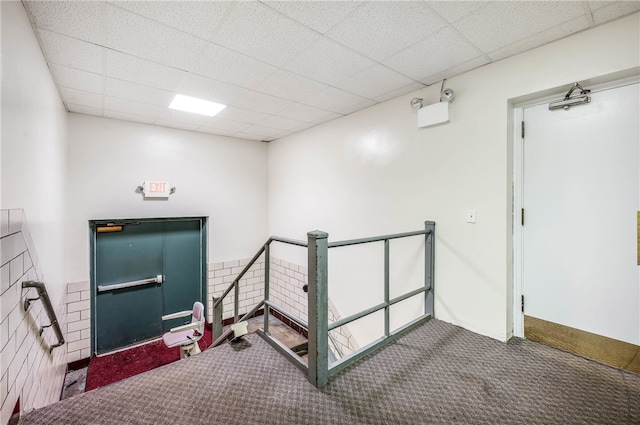 interior space with a drop ceiling and carpet floors