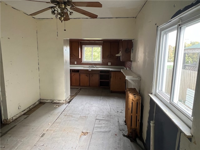 kitchen with ceiling fan, light wood-type flooring, sink, and radiator heating unit