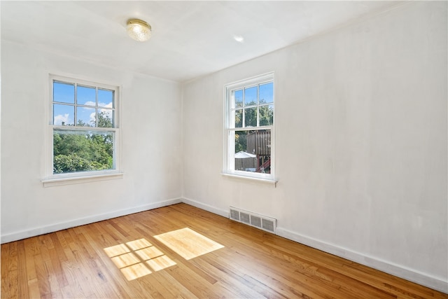 unfurnished room featuring light wood-type flooring and a wealth of natural light