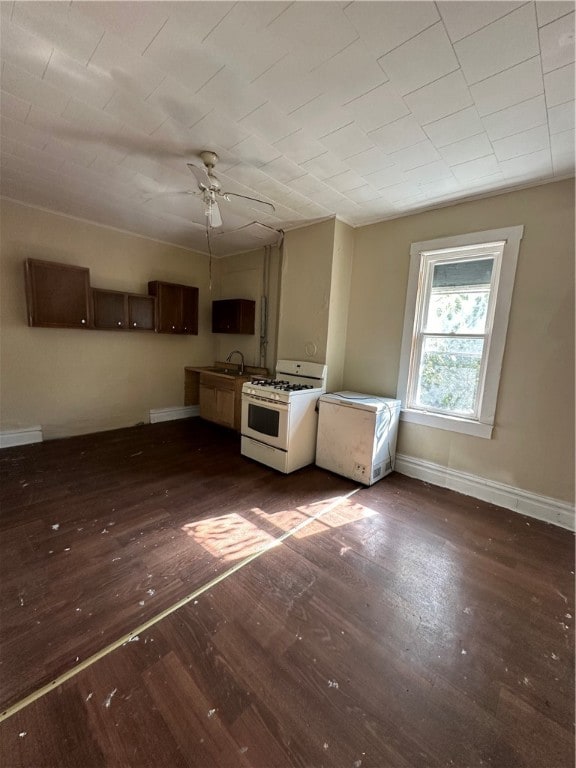 interior space featuring ceiling fan, sink, and dark hardwood / wood-style floors