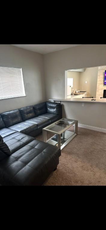 6405 Apple St, Lincoln-Larimer, PA 15206 - living room featuring baseboards and carpet