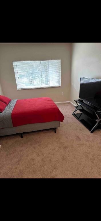 6405 Apple St, Lincoln-Larimer, PA 15206 - carpeted bedroom with baseboards