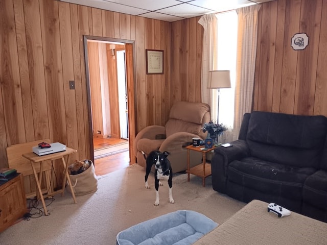 sitting room featuring light colored carpet, a paneled ceiling, wood walls, and a wealth of natural light