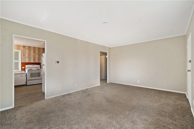 empty room featuring carpet floors and ornamental molding