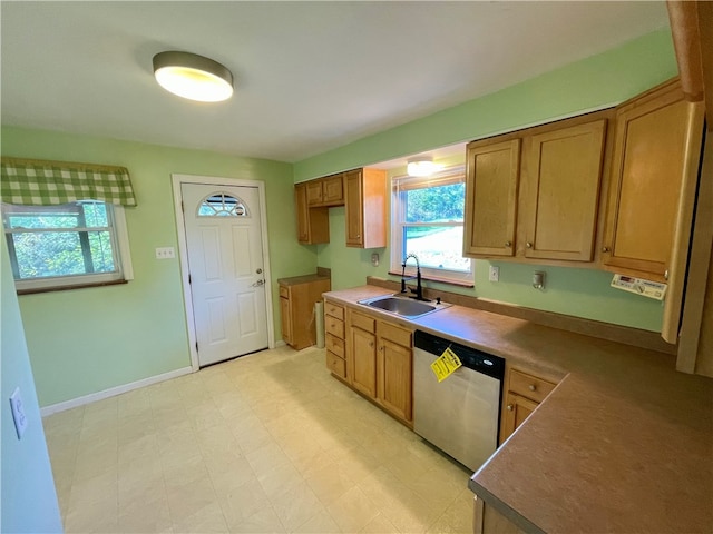 kitchen with dishwasher and sink