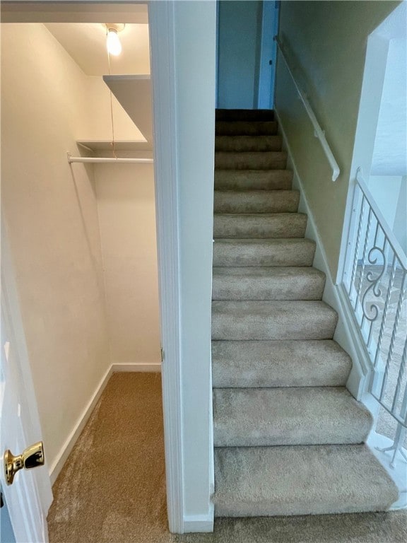 staircase with carpet floors