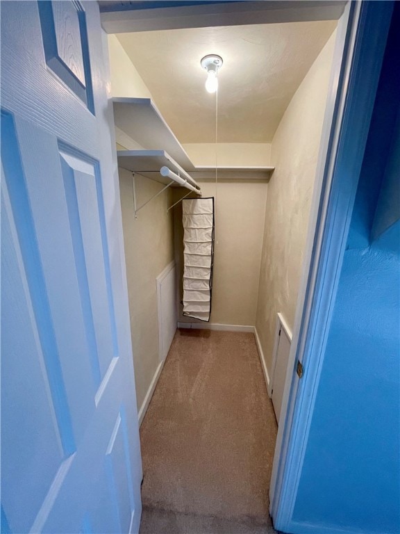 spacious closet featuring light colored carpet