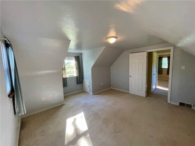 additional living space with light carpet, a textured ceiling, and vaulted ceiling