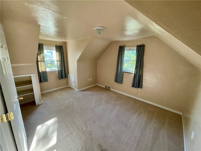 additional living space featuring lofted ceiling, light colored carpet, and a textured ceiling