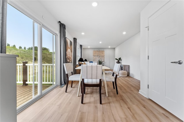 dining space featuring light hardwood / wood-style floors