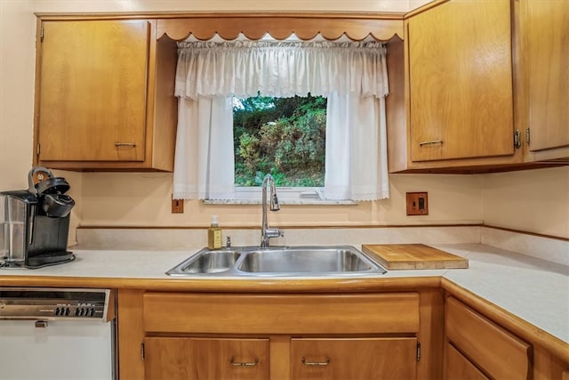 kitchen with dishwasher and sink