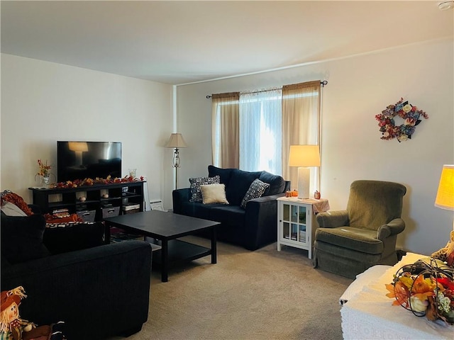 409 Ceylon Rd, Carmichaels/Cumblnd, PA 15320 - living room featuring light colored carpet and a baseboard heating unit