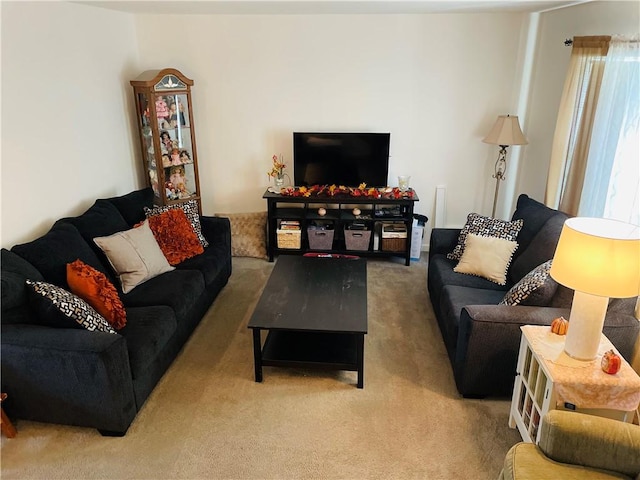 409 Ceylon Rd, Carmichaels/Cumblnd, PA 15320 - living room featuring carpet floors