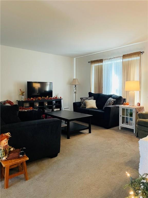 409 Ceylon Rd, Carmichaels/Cumblnd, PA 15320 - carpeted living room with baseboard heating