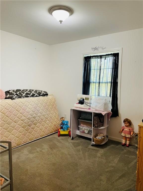 409 Ceylon Rd, Carmichaels/Cumblnd, PA 15320 - bedroom featuring carpet