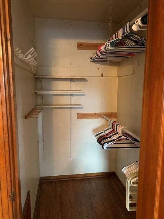 walk in closet featuring wood finished floors
