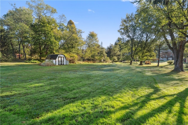 view of yard featuring a shed