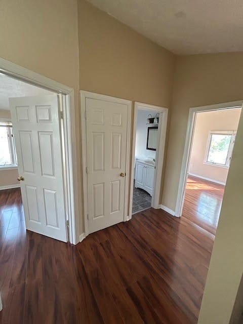 hall featuring dark hardwood / wood-style floors and a wealth of natural light