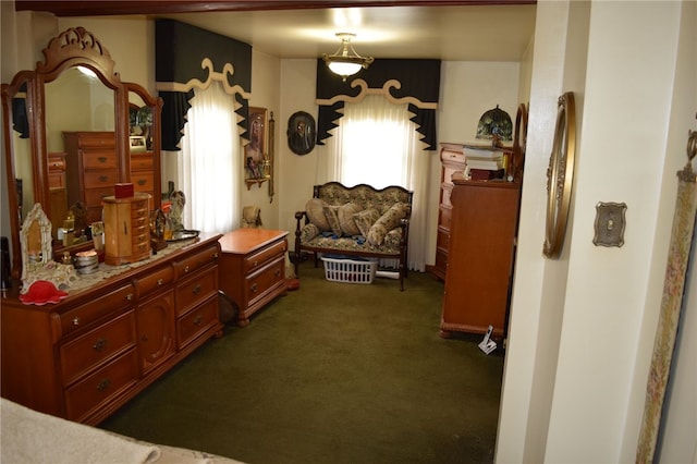 interior space with dark colored carpet