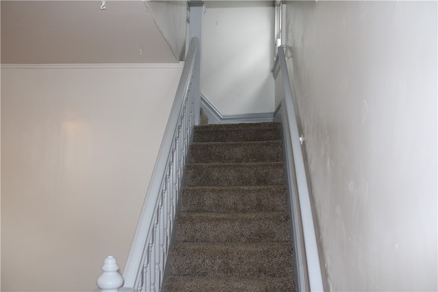 stairway with ornamental molding and carpet flooring