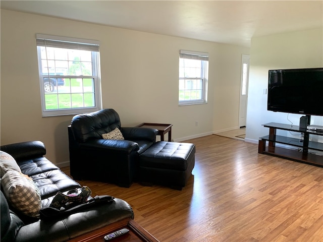 living room featuring hardwood / wood-style floors and a healthy amount of sunlight