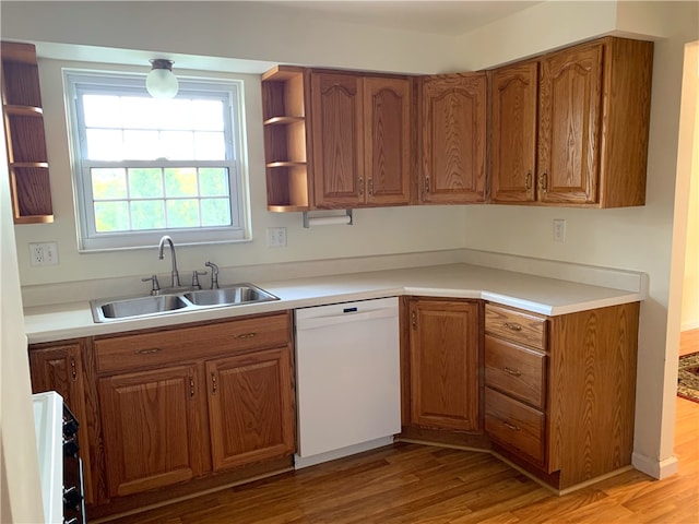 kitchen featuring sink, dishwasher, and light wood-type flooring